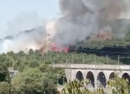 Allarme incendi in Italia: le fiamme divampano da Trieste alla Versilia