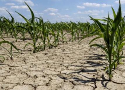 Crisi agroalimentare: “Per gli scaffali pieni serve più acqua”