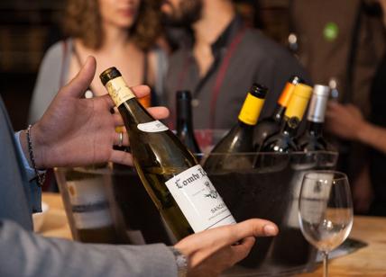 Report e l'inchiesta sul vino: ecco che cosa non dice il programma di Ranucci