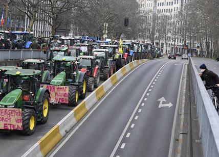Dall'Olanda la nuova ondata anti-Ue: boom del partito degli agricoltori