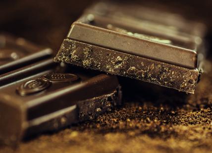 Nestlé e Cargill trasformano i gusci di cacao in fertilizzanti