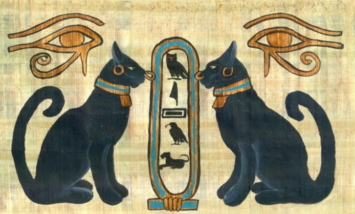 Il gatto dallantico Egitto