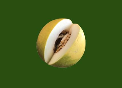 Limelon, sbarca in Italia il nuovo melone che ha il gusto del lime