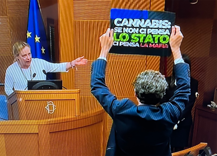 Cannabis, conferenza alla Camera: scontro clamoroso tra Meloni e +Europa