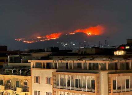 Palermo brucia: soccorsi in tilt, morta una donna. Incendi anche in Calabria