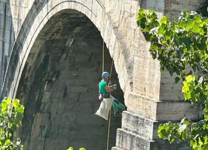 Potenza del Giubileo: dopo 8 anni gli acrobati puliscono il Ponte Sant'Angelo