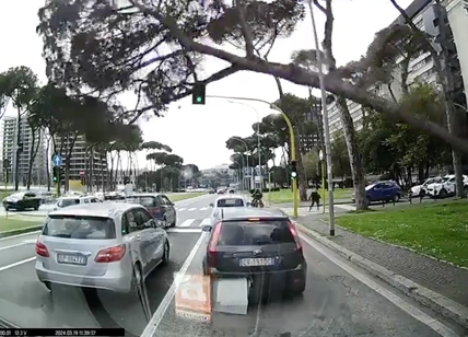 Albero caduto a Roma: il video choc del crollo sull'auto in transito all'Eur