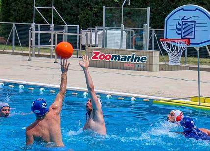 A Zoomarine arriva “Orange Day: Basket for Friend, lo sport incontra l'acqua