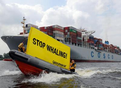 Giappone: riprende caccia alle balene per scopi commerciali
