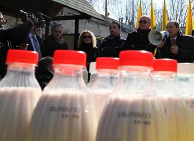 Quote latte, la Corte Ue condanna l'Italia per mancato recupero