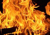 Fiamme