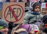 Germania, i giudici sull'Afd: "Sono estremisti di destra, vanno sorvegliati"