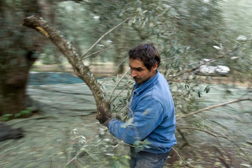 Mostra lavoro Mostra lavoro