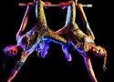 Cirque du Soleil