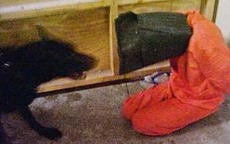 Iraq torture2 Iraq torture2