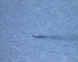 loch ness google2