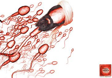 spermatozoo2 spermatozoo2