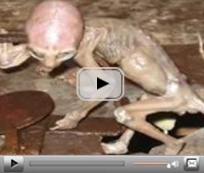 video alieno400