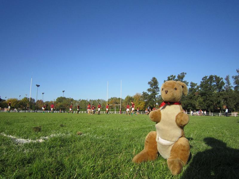 “Il Rugby veicola nella sua quotidianità: il rispetto, la condivisione, la disciplina, la partecipazione e il divertimento (valori che sono alla base di molte discipline sportive, spesso alterati da meccanismi economici e di “facile” successo)“, conclude Bussolotti. Per Tommaso Ebhardt, “Siamo nati a Milano e per Milano, per trasferire ai nostri figli e a tutti i piccoli milanesi i valori del nostro sport che sono riassunti nel nostro manifesto: “Il nostro non è uno sport, è un modo di vivere. Un passo avanti con lo sguardo rivolto indietro. Il rugby c’insegna a diventare persone vere. Da soli valiamo tutti molto poco, assieme possiamo diventare importanti.Milano è – o è diventanta – la nostra città e quella dei nostri figli. Il Parco Sempione è il suo cuore. Il Rugby Parco Sempione punta a tramandare la nostra passione ai nuovi milanesi, di qualsiasi sesso, razza, colore e religione. Nel nostro parco c’e’ posto per tutti, come nel XV di una squadra di rugby. Il progetto Rugby Parco Sempione viene da lontano: da uno spogliatoio prefabbricato dove finisce la città , dal placcaggio di un nano romagnolo a un colosso olandese in una primavera che sa di speranza, dal agrodolce gusto di una sconfitta onorevole nel derby della tangenziale, da un coro che non possiamo dimenticare in una calda notte abruzzese. “Noi non mullemo mai.” Lealta’, rispetto, passione, condivisione e la gioia di stare assieme, questo vuole essere il Rugby Parco Sempione.” Perché, per ogni squadra, è molto forte e radicato il senso di appartenenza al proprio club ed alla città di appartenenza, nonostante a questa domanda Amatori Rugby Milano puntualizzi: “Non è un valore che ci piace esaltare particolarmente, così come i derby tra società diverse della stessa città non sono momenti esacerbati nell’agonismo. Abbiamo più che altro un forte elemento di identità come RUGBYSTI,che forse per qualcuno sarà snob, ma devo dire che pone barriere di comportamento quasi impermeabili ache proviene da altre esperienze sportive”. “Il Rugby si basa su valori come la lealtà, la condivisone, il rispetto per le persone (compagni, avversar, tifosi i) e per le regole (arbitro). Sono gli stessi valori su cui si dovrebbe basare anche la società civile. I genitori, per queste motivazioni, sono molto solleciti nello stimolare i figli a provare il rugby, oltre ad altri sport”, conclude il CUS. Con tanto di tifo (fondamentale come ogni sport) al seguito. Anzi, nel caso di Parco Sempione costoro sono una autentica comunità del Parco Sempione: “bimbi, genitori, educatori, dirigenti, volontari e simpatizzanti; siamo una grande famiglia allargata alla quale si è aggiunta anche una squadra seniors, I Dragold, formata in gran parte da genitori dei nostri piccoli Dragoni". Princìpi, questi, che conquistano al punto da far sfociare i classici tornei dei fine settimana in vere e proprie feste dello sport che piacciono a grandi e piccini. Molto civico e molto educativo.