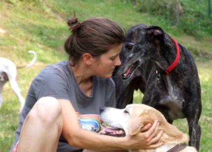 Cane anziano? I sette consigli per farlo vivere meglio e felice
