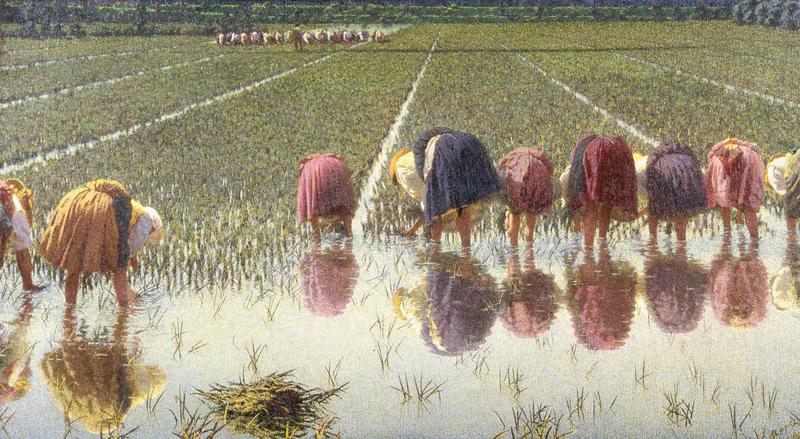 Angelo Morbelli, Per ottanta centesimi!, 1895 Angelo Morbelli, Per ottanta centesimi!, 1895