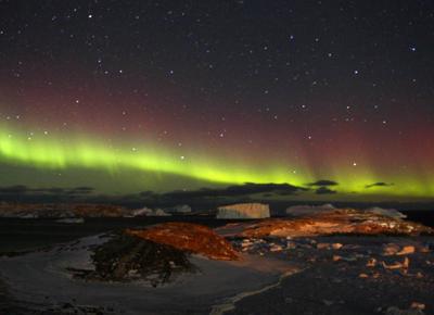 aurora antartico ape (4)