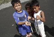 Indonesia, bambini giocano con serpenti velenosi