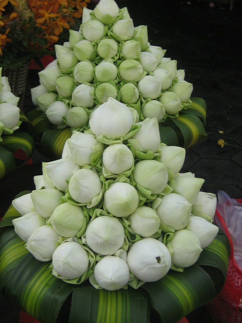 Bouquet di fiori di loto al mercato di Phnom Penh Bouquet di fiori di loto al mercato di Phnom Penh