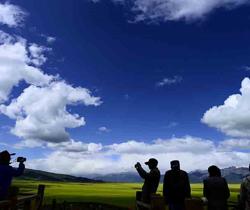 Cina, campi di fiori a Menyuan