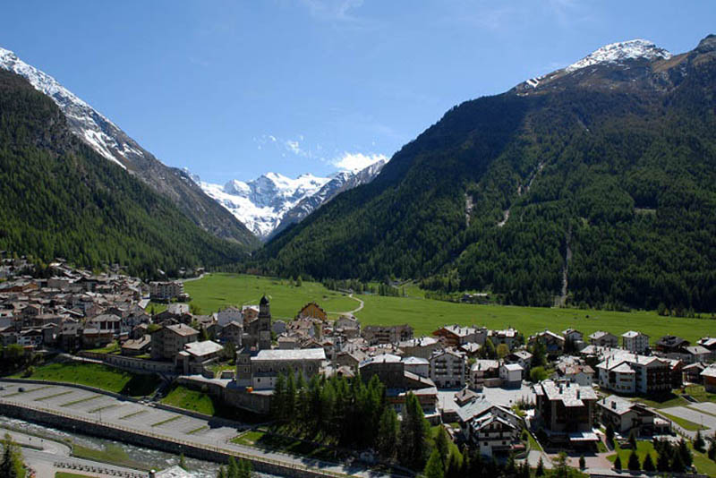 COGNE Estate low