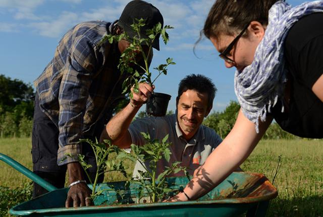 DDL agricoltura, più spazio per i giovani