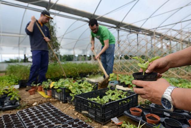 Giovani in agricoltura per favorire ricambio generazionale