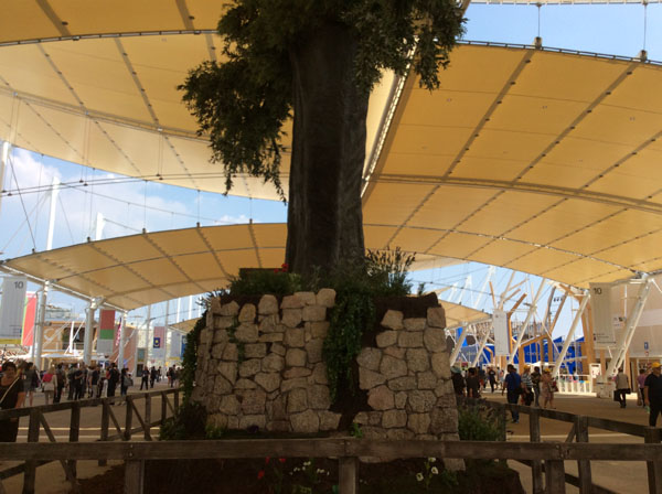expo (113)