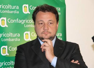 fava