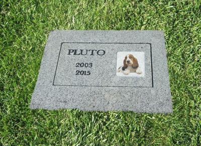 fido 01