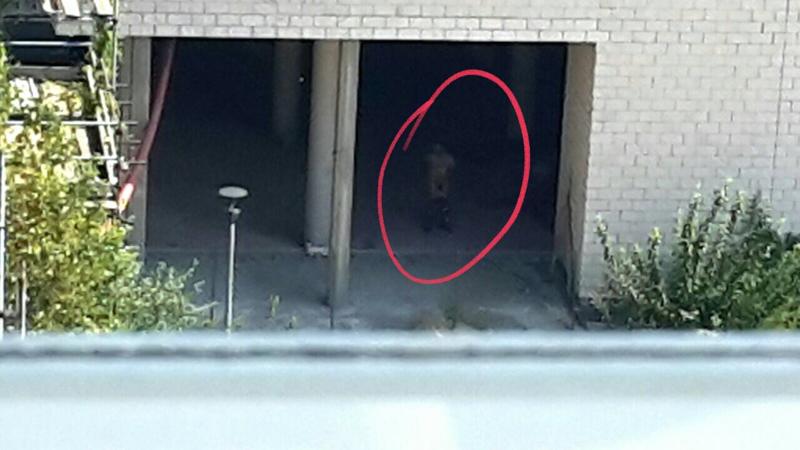 occupante nudo in Rsa in Via Mulas, in pieno giorno occupante nudo in Rsa in Via Mulas, in pieno giorno