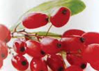 goji