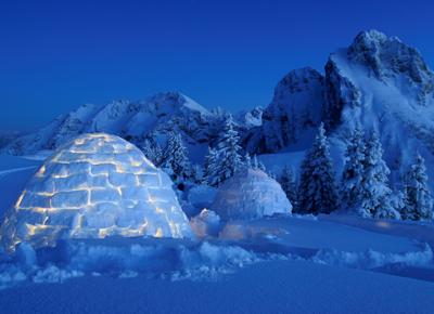 igloo ape (1)