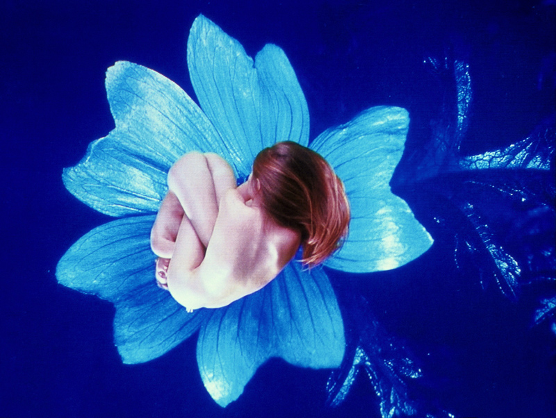 Pipilotti Rist Homo Sapiens Sapiens, 2005 Still da video Audio video installazione, dimensioni variabili, musica di Anders Guggisberg & Pipilotti Rist Courtesy l’artista; Hauser & Wirth Pipilotti Rist Homo Sapiens Sapiens, 2005 Still da video Audio video installazione, dimensioni variabili, musica di Anders Guggisberg & Pipilotti Rist Courtesy l’artista; Hauser & Wirth