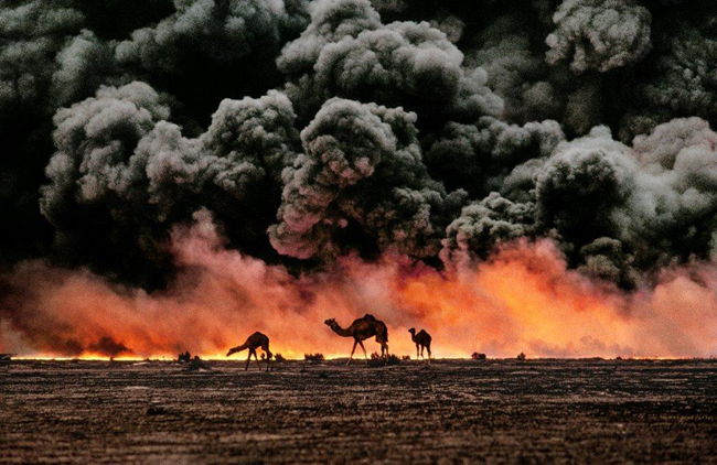 Cammelli e giacimenti di petrolio, Kuwait, 1991 Camel and oil fields, Kuwait, 1991 - copyright: ©Steve McCurry Cammelli e giacimenti di petrolio, Kuwait, 1991 Camel and oil fields, Kuwait, 1991 - copyright: ©Steve McCurry