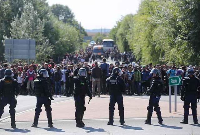 Migranti, centinaia in marcia dalla Serbia verso l'Ungheria: "Entreremo in Ue"