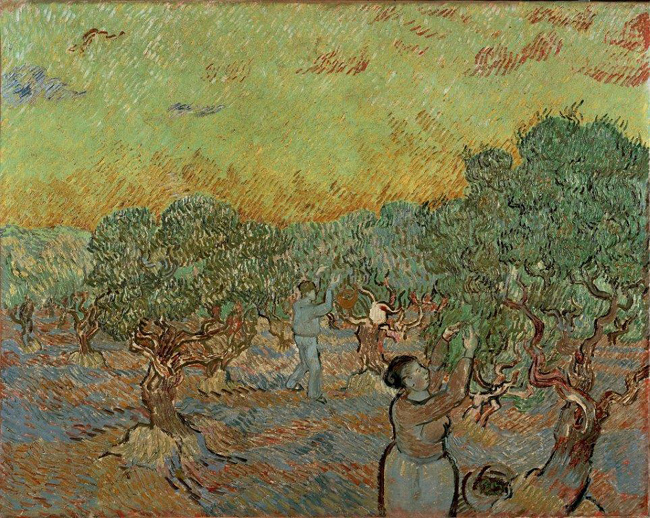 Vincent van Gogh Uliveto con due raccoglitori di olive Olio su tela, cm 73,3 x 92,2 1889 Kröller-Müller Museum, Otterlo © Kröller-Müller Museum, Otterlo Vincent van Gogh Uliveto con due raccoglitori di olive Olio su tela, cm 73,3 x 92,2 1889 Kröller-Müller Museum, Otterlo © Kröller-Müller Museum, Otterlo