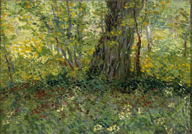Vincent van Gogh Sottobosco Olio su tela, cm 33 x 46,5 1887 Collection Centraal Museum, Utrecht; in prestito dalla Van Baaren Museum Foundation © Centraal Museum, Utrecht Vincent van Gogh Sottobosco Olio su tela, cm 33 x 46,5 1887 Collection Centraal Museum, Utrecht; in prestito dalla Van Baaren Museum Foundation © Centraal Museum, Utrecht