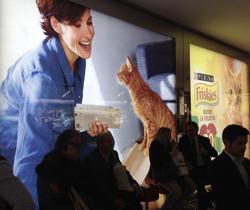 purina (3)