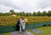 Un labirinto di girasoli per l'ingresso del museo Van Gogh ad Amsterdam