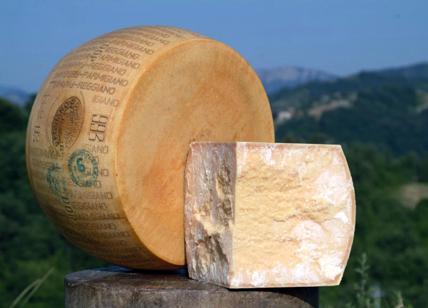 Nasce il "Parmigiano Reggiano di Montagna" con 700.000 forme