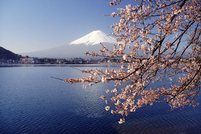 Tokyo, complice il calo dei prezzi dei voli e la svalutazione dello yen, ha visto crescere di oltre il 18% le ricerche di voli dall’Italia rientranto fra le destinazioni di tendenza del 2016. Se c’è un periodo incantevole per visitare Tokyo è proprio la primavera con l’Hanami. In questa stagione la città si tinge di colore rosa e le strade vengono ricoperte di piccoli petali di ciliegio. L’Hanami è una delle romantiche tradizioni del Giappone che consiste nell’ammirare i fiori. Il Parco di Ueno a Tokyo rappresenta una delle location più suggestive soprattutto di sera quando vengono accese le luci. Una città di grande fascino, con un alto senso del rispetto e delle regole, che rimarrà impressa nella mente e nel cuore. Tokyo, complice il calo dei prezzi dei voli e la svalutazione dello yen, ha visto crescere di oltre il 18% le ricerche di voli dall’Italia rientranto fra le destinazioni di tendenza del 2016. Se c’è un periodo incantevole per visitare Tokyo è proprio la primavera con l’Hanami. In questa stagione la città si tinge di colore rosa e le strade vengono ricoperte di piccoli petali di ciliegio. L’Hanami è una delle romantiche tradizioni del Giappone che consiste nell’ammirare i fiori. Il Parco di Ueno a Tokyo rappresenta una delle location più suggestive soprattutto di sera quando vengono accese le luci. Una città di grande fascino, con un alto senso del rispetto e delle regole, che rimarrà impressa nella mente e nel cuore.