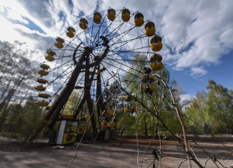 30 anni chernobyl ape