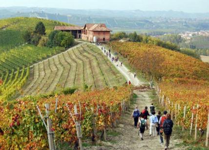 Intesa Sanpaolo: accordo per sviluppare il turismo del vino