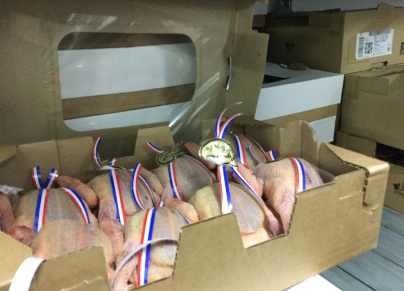 berton (4) modificato 2